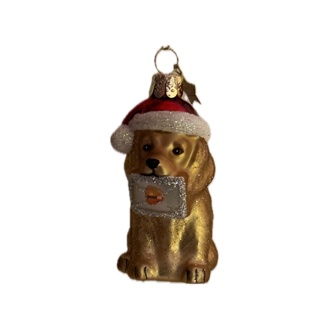 Hondje
